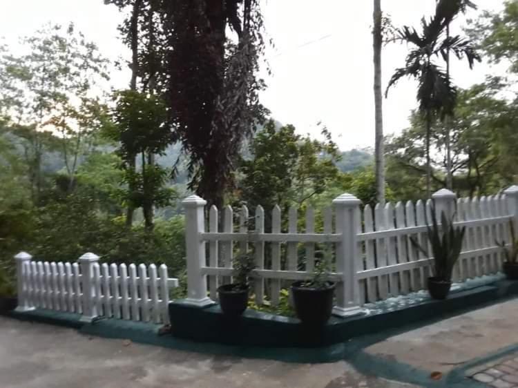 Villa25 Homestay Free Pick Up From The Centre Канди Экстерьер фото